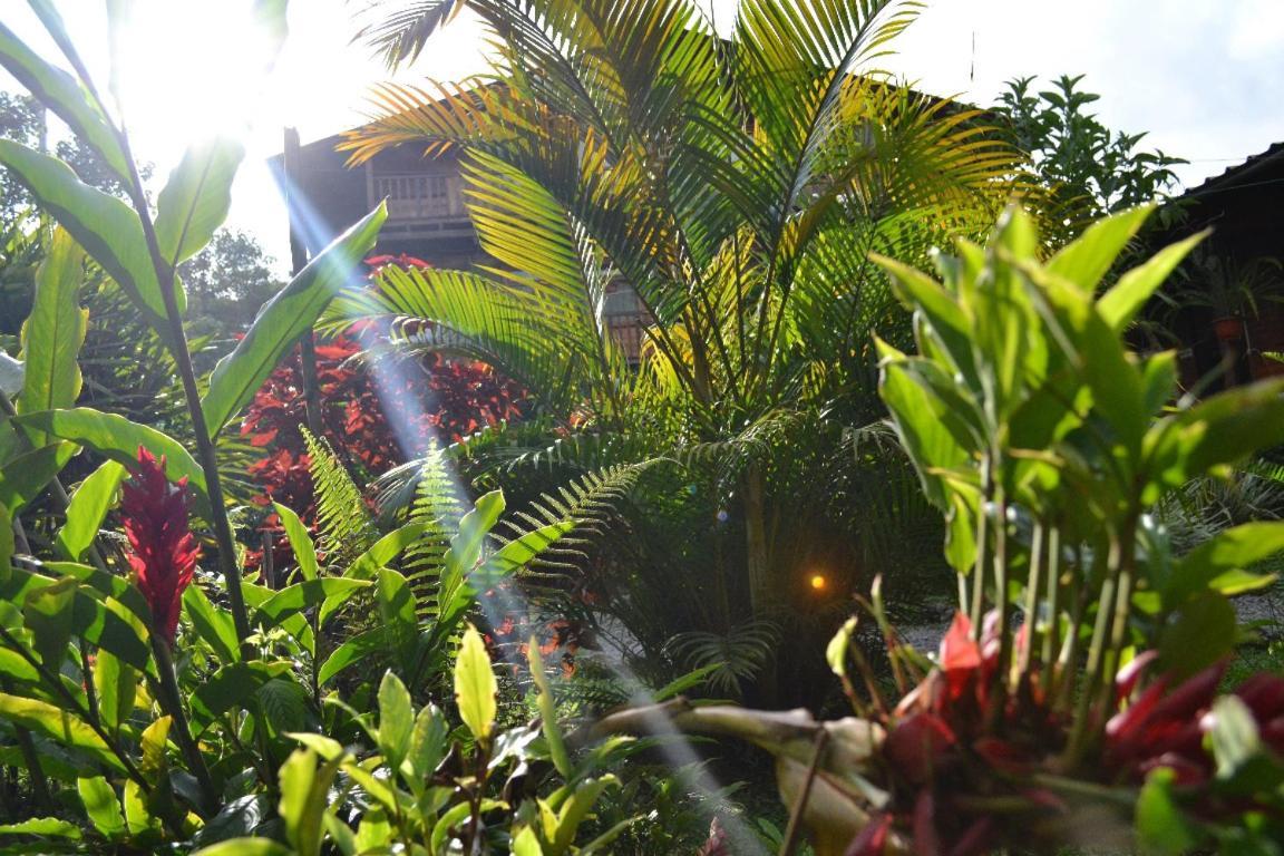 Mindo Green House Extérieur photo